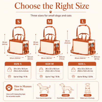 Ezvara™Teddy Handbag Pet Carrier