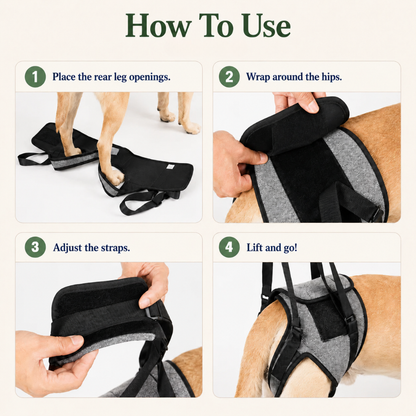 Ezvara™SteadyStep Harness