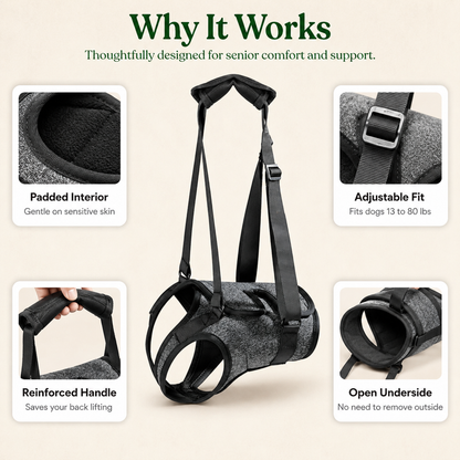 Ezvara™SteadyStep Harness