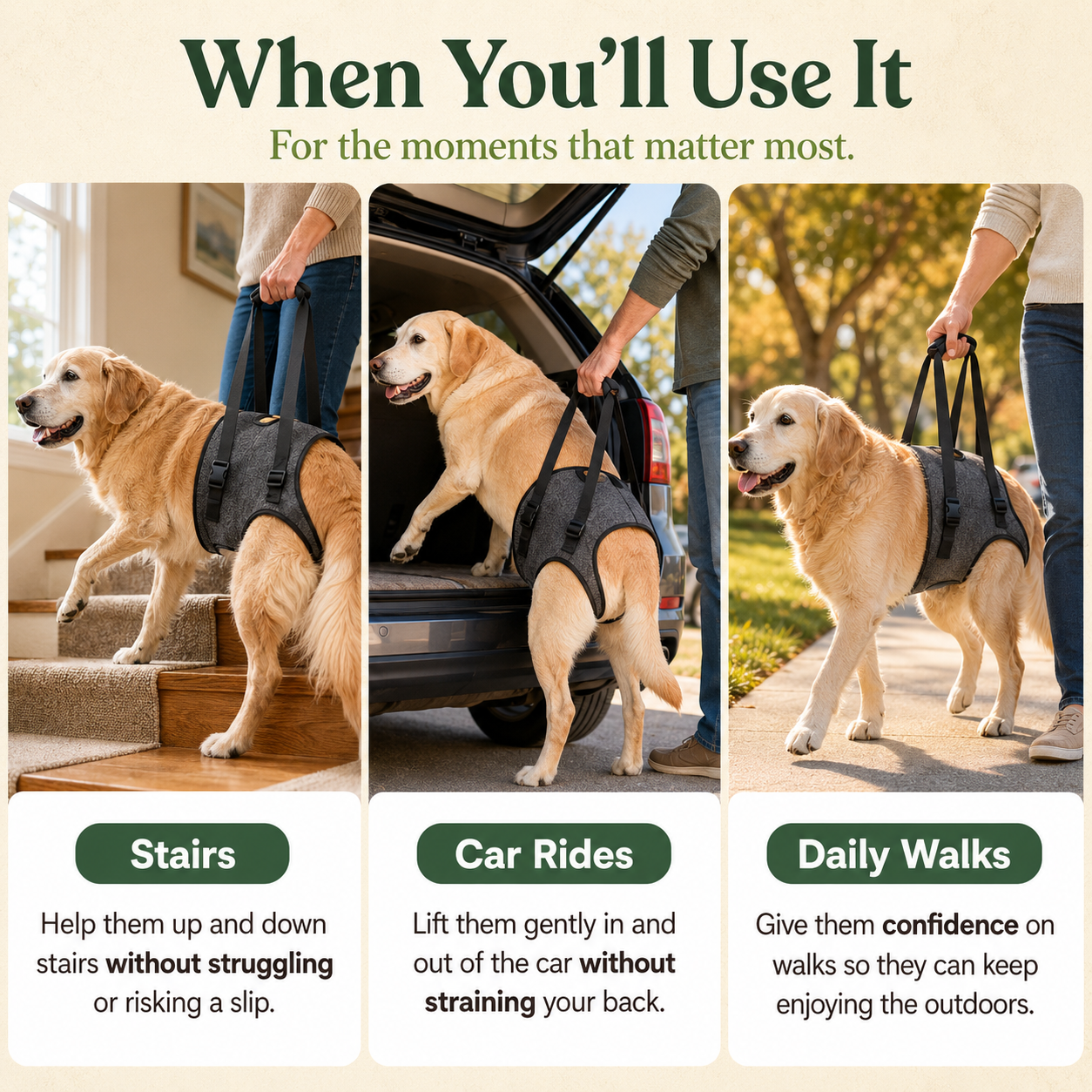 Ezvara™SteadyStep Harness