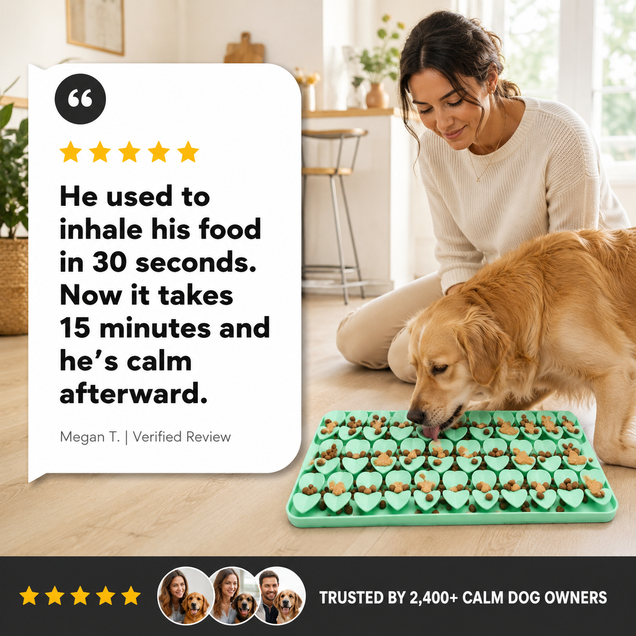 Ezvara™ Calming Slow-Feeder Mat