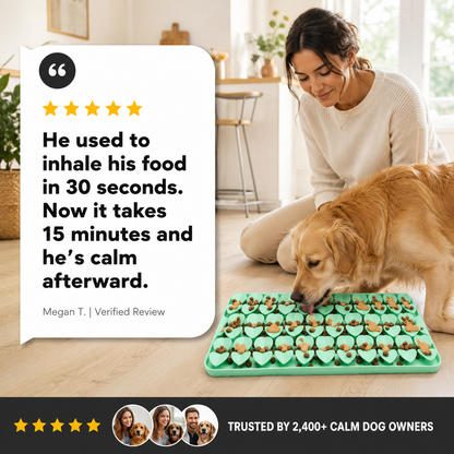 Ezvara™ Calming Slow-Feeder Mat