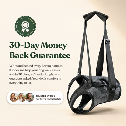 Ezvara™SteadyStep Harness