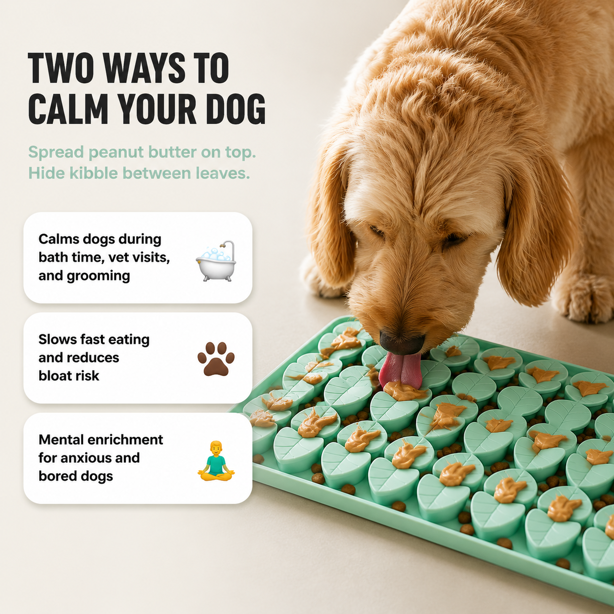 Ezvara™ Calming Slow-Feeder Mat